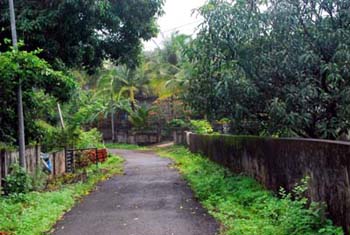 Neigborhood Streets