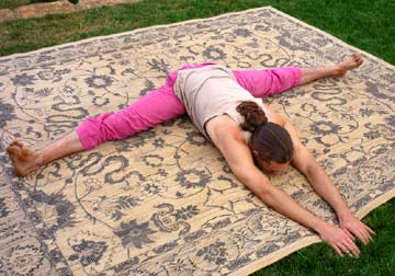 Bhumi Sparshana Asana (Earthly)