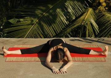 Bhumi Sparshana Asana (Earthly)