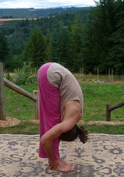 Upa Paschima Uttana Asana (Standing Westward)